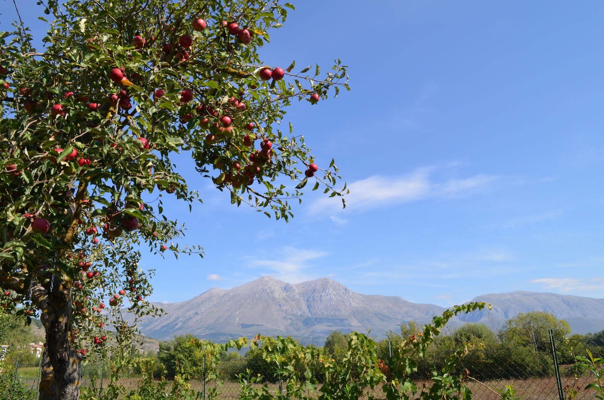 Agriturismo Villa Palentina Scurcola Marsicana Exteriér fotografie